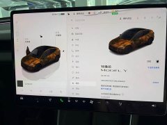 Tesla Model Y Rear-Wheel Drive - ფოტო 8