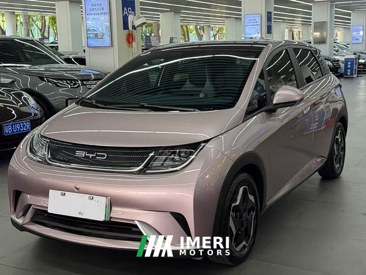 BYD Dolphin 405km Fashion Edition - ავტომობილი ჩინეთიდან