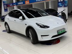 Tesla Model Y Rear-Wheel Drive - ფოტო 3