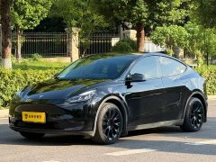 Tesla Model Y Rear-Wheel Drive - ფოტო 1