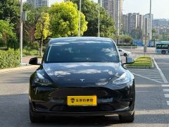 Tesla Model Y Rear-Wheel Drive - ფოტო 2