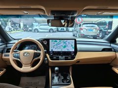 Lexus ES 300h Premium Edition - ფოტო 6