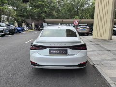 Lexus ES 300h Premium Edition - ფოტო 8