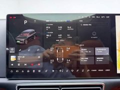 Li Auto L9 2023 Pro - ფოტო 16