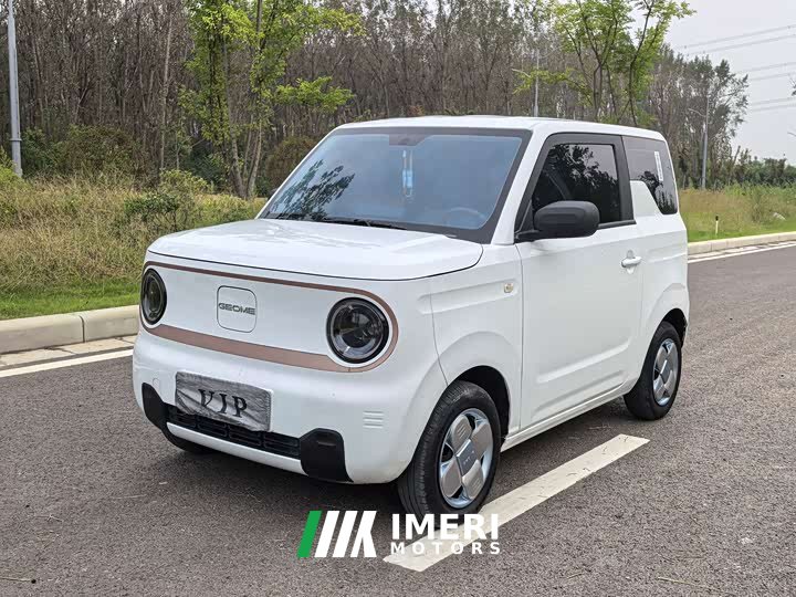 Geely Panda 2024 Panda Mini 200km Endurance Edition - ავტომობილი ჩინეთიდან