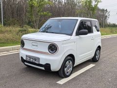 Geely Panda 2024 Panda Mini 200km Endurance Edition - ფოტო 1