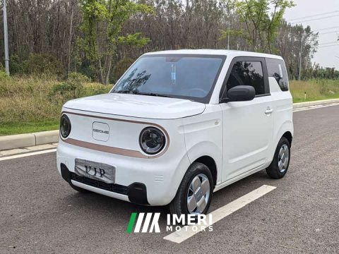2025 Geely Panda 2024 Panda Mini 200km Endurance Edition - ავტომობილი ჩინეთიდან