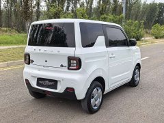 Geely Panda 2024 Panda Mini 200km Endurance Edition - ფოტო 18