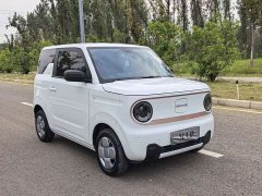 Geely Panda 2024 Panda Mini 200km Endurance Edition - ფოტო 2