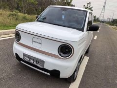 Geely Panda 2024 Panda Mini 200km Endurance Edition - ფოტო 4