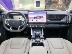 Jetour Jietu Shanhai T1 150km Xianghai - ფოტო 11