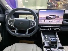 Jetour Jietu Shanhai T1 150km Xianghai - ფოტო 12