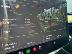 Tesla Model 3 Rear-Wheel Drive - ფოტო 10