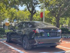 Tesla Model 3 Rear-Wheel Drive - ფოტო 9