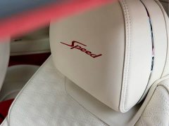 Bentley Continental Plug-in Hybrid GT Ultimate Edition - ფოტო 18