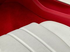 Bentley Continental Plug-in Hybrid GT Ultimate Edition - ფოტო 20