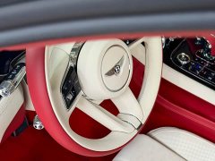Bentley Continental Plug-in Hybrid GT Ultimate Edition - ფოტო 7
