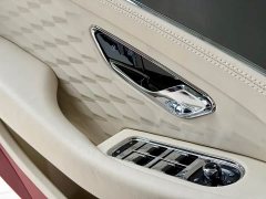 Bentley Continental Plug-in Hybrid GT Ultimate Edition - ფოტო 8
