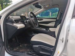 BYD Seagull 05 DM-i Smart Drive Edition 55KM Luxury - ფოტო 6