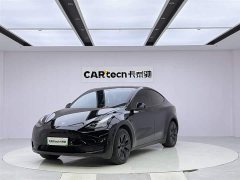 Tesla Model Y Rear-Wheel Drive - ფოტო 1