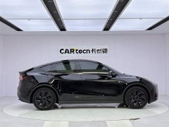 Tesla Model Y Rear-Wheel Drive - ფოტო 6