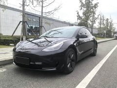 Tesla Model 3 Rear-Wheel Drive - ფოტო 1