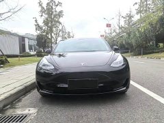 Tesla Model 3 Rear-Wheel Drive - ფოტო 3