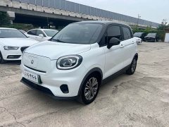 Leapmotor T03 2021 400 Lite Enjoy Edition Ternary Lithium - ფოტო 1