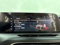 Buick GL8 ES Land Respect 653T Premier - ფოტო 18