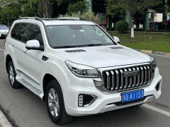 Haval H9 2.0T Gasoline AWD Smart Comfort 5-Seater - ფოტო 3