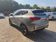 Great Wall WEY VV6 2020 2.0T Two-Wheel Drive Smart Protection Plus - ფოტო 10