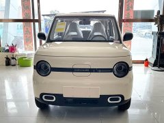 Geely Panda Mini 210km Vitality Edition - ფოტო 2