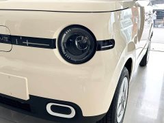 Geely Panda Mini 210km Vitality Edition - ფოტო 3
