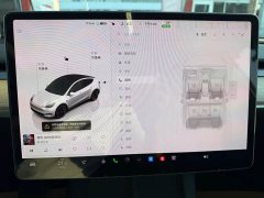 Tesla Model Y 2022 Facelift Rear-Wheel Drive - ფოტო 10