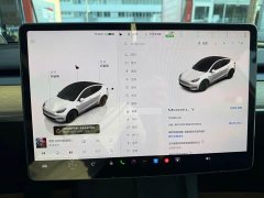 Tesla Model Y 2022 Facelift Rear-Wheel Drive - ფოტო 9