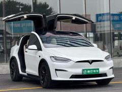 Tesla Model X 2023 Tri-Motor All-Wheel Drive Plaid - ფოტო 8