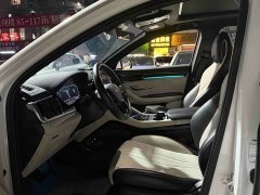 BYD Song Plus New Energy DM-i 71km Luxury - ფოტო 5