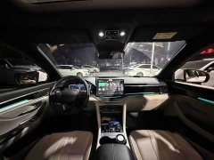 BYD Song Plus New Energy DM-i 71km Luxury - ფოტო 9