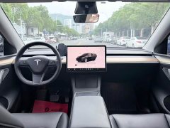Tesla Model Y Rear-Wheel Drive - ფოტო 10