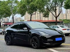 Tesla Model Y Rear-Wheel Drive - ფოტო 2
