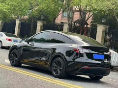 Tesla Model Y Rear-Wheel Drive - ფოტო 4