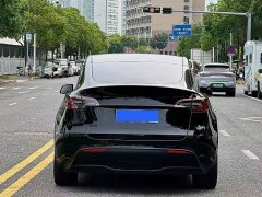 Tesla Model Y Rear-Wheel Drive - ფოტო 5