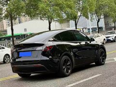 Tesla Model Y Rear-Wheel Drive - ფოტო 6