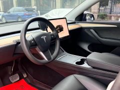 Tesla Model Y Rear-Wheel Drive - ფოტო 8