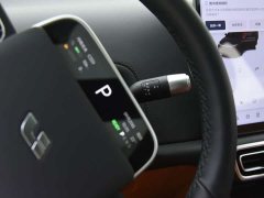 Li Auto L7 2024 MAX - ფოტო 10