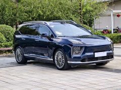 Haomo HL Facelift 350 Max Six-Seat LiDAR Version - фото 3