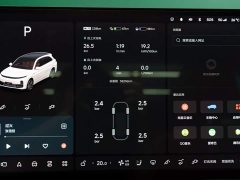 Li Auto L7 Pro - ფოტო 17