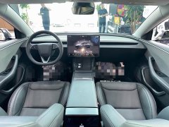 Tesla Model 3 Rear-Wheel Drive - ფოტო 3