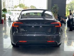 Tesla Model 3 Rear-Wheel Drive - ფოტო 9