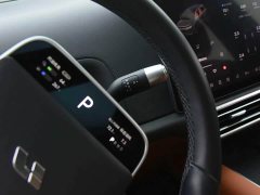 Li Auto L8 Pro - ფოტო 9